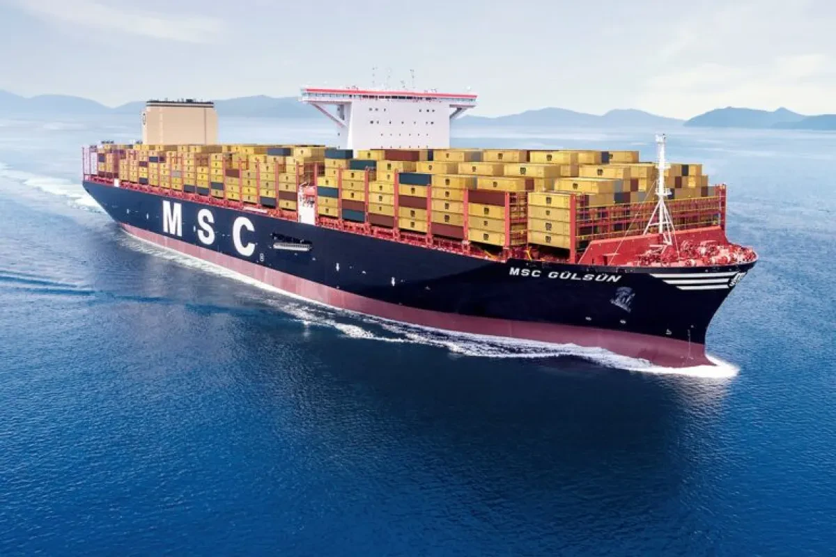 MSC-Boat-768x512-1