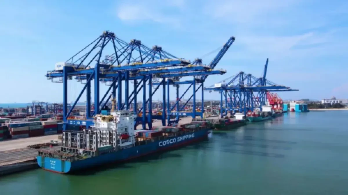 COSCO Yangpu International terminal achieves throughput target