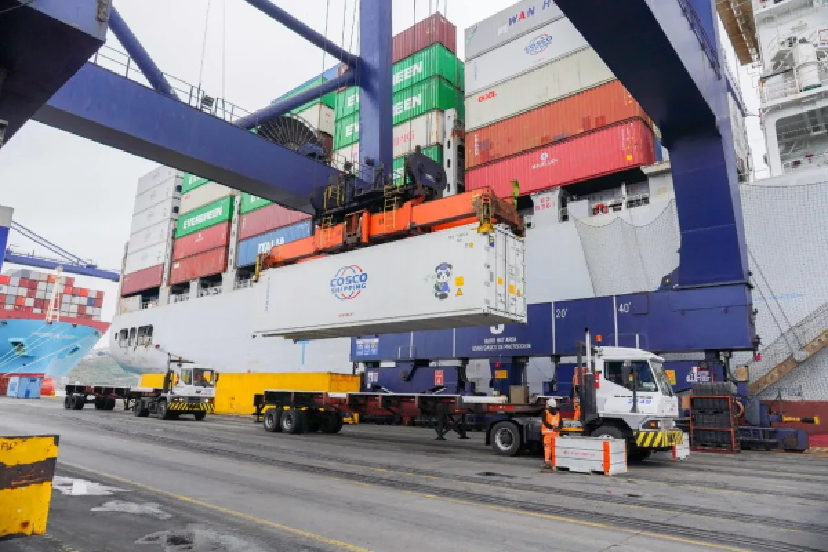STI-1TEU-1