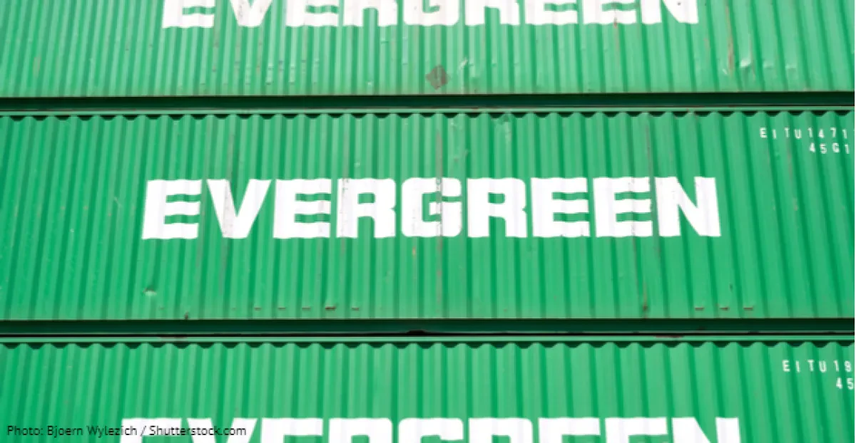 9_20_Evergreen
