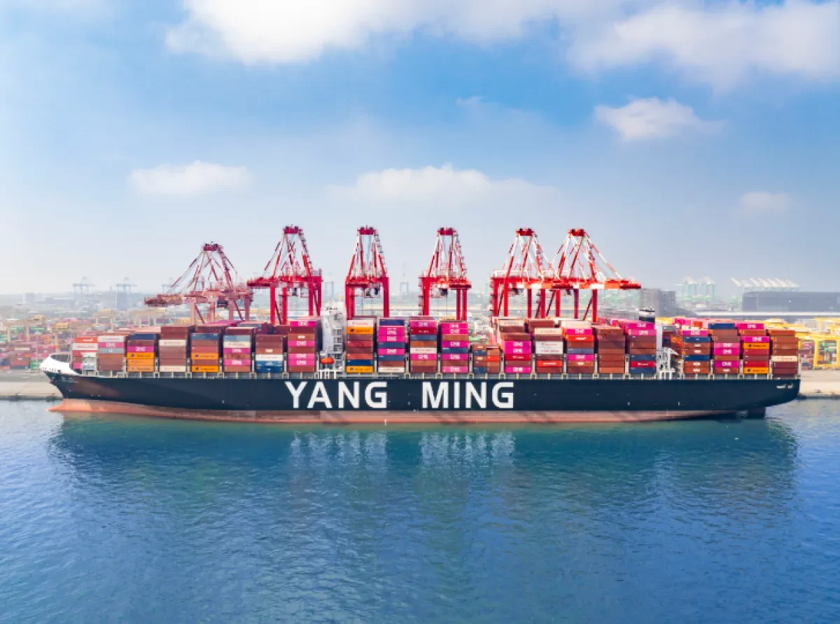 yangming3