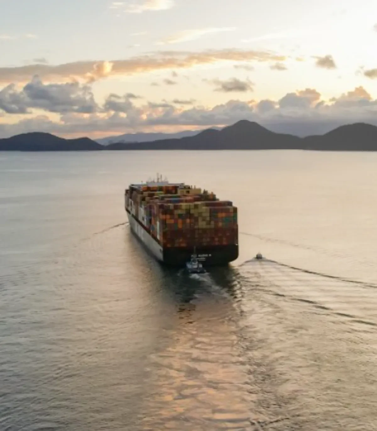 msc1