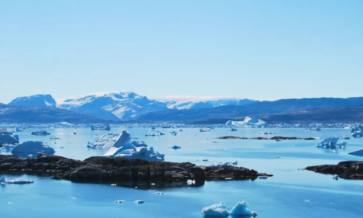 Arctic--780x470
