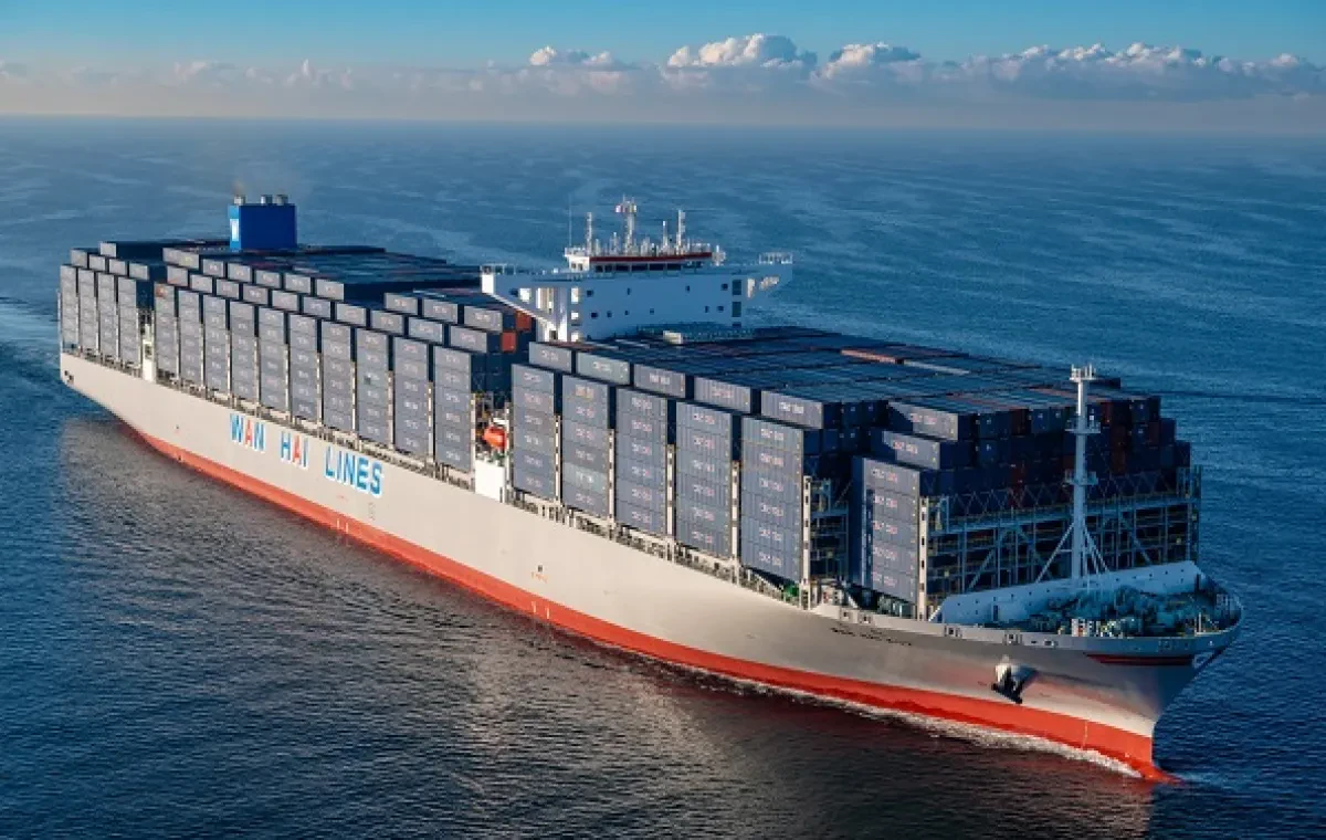 Two missing after cargo vessel sinks after collision with box ship