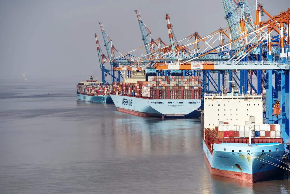 pexels-photo-11555089