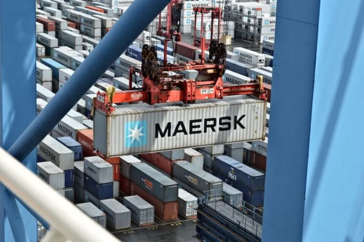 Container-800x532