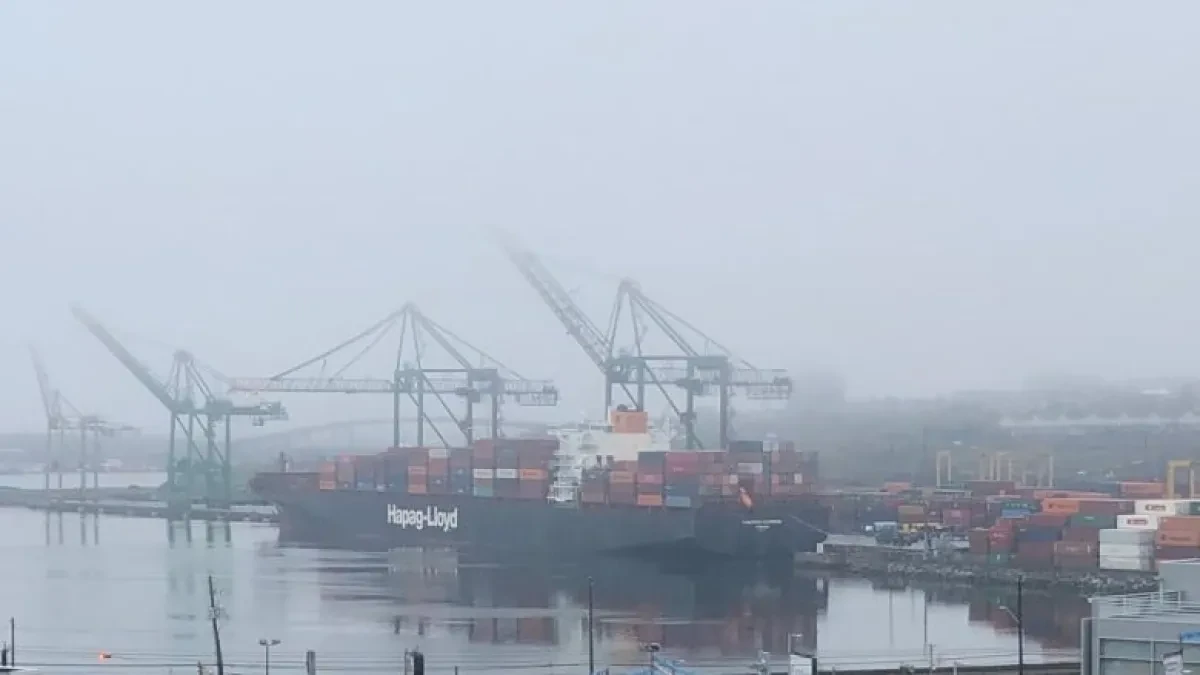 yantian-express-halifax