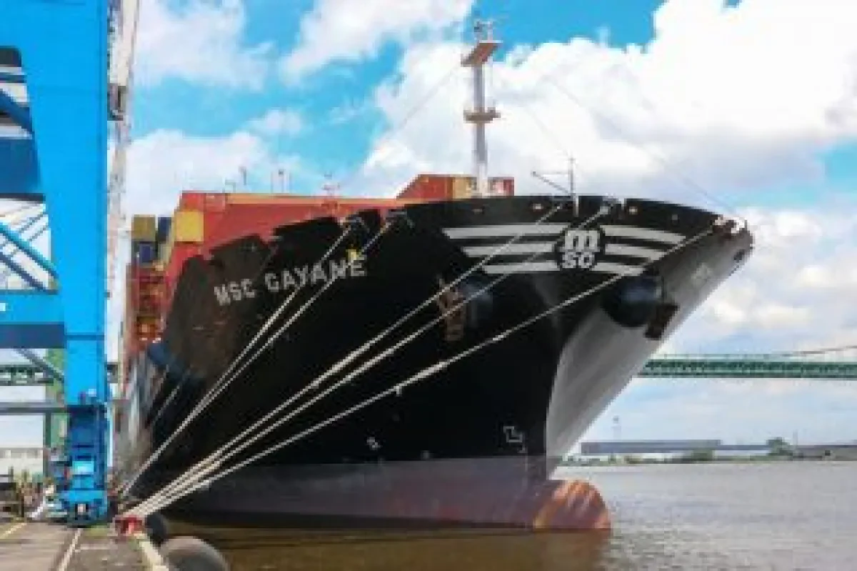 msc-gayane-320x213