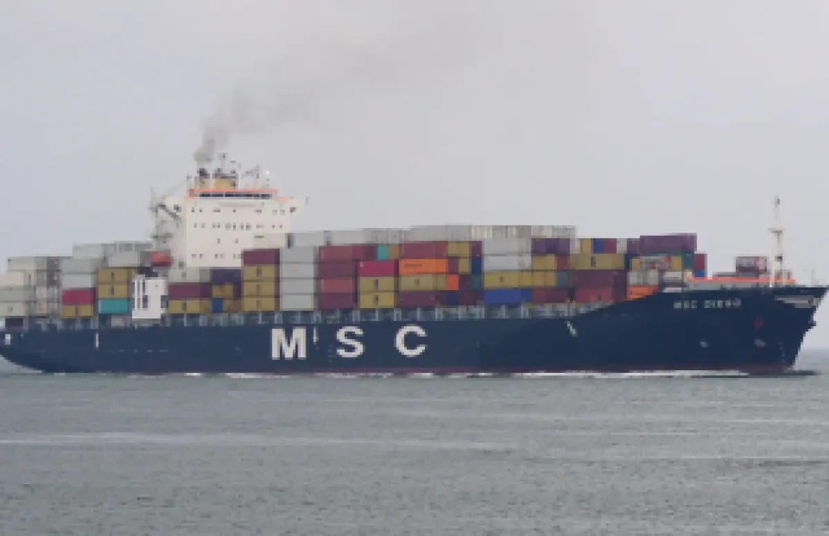 msc_diego-320x207