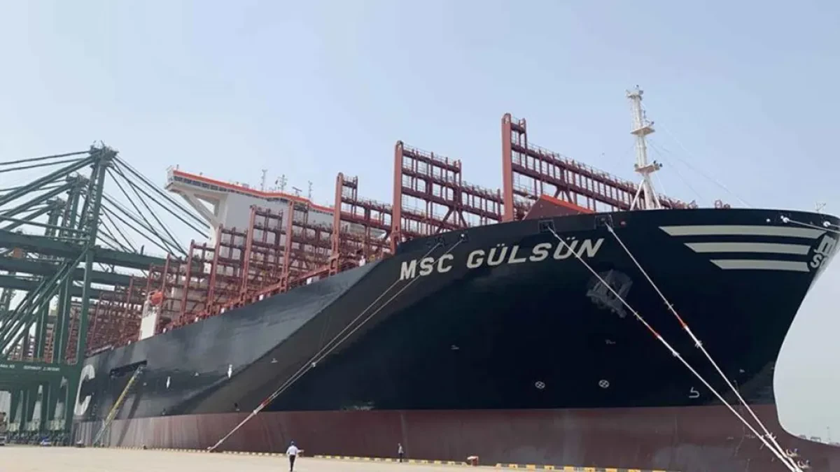 MSC-Gulsun-2
