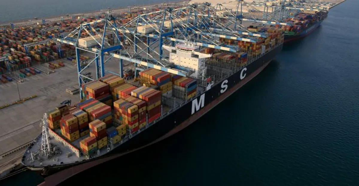 MSC-1