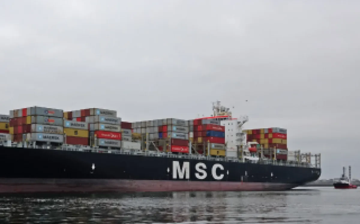 msc-320x199-1