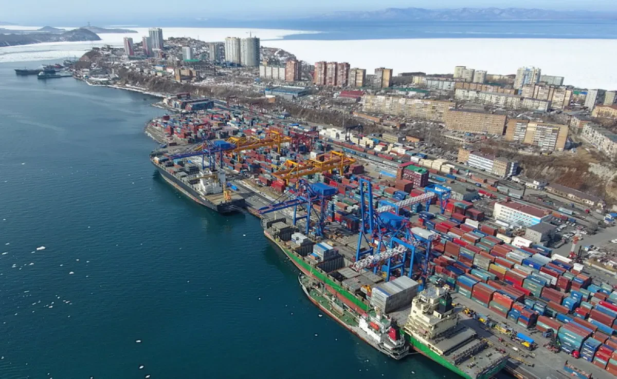 Throughput of Commercial Port of Vladivostok in 2019 grew by 10.5% YoY to 11.5 million tonnes