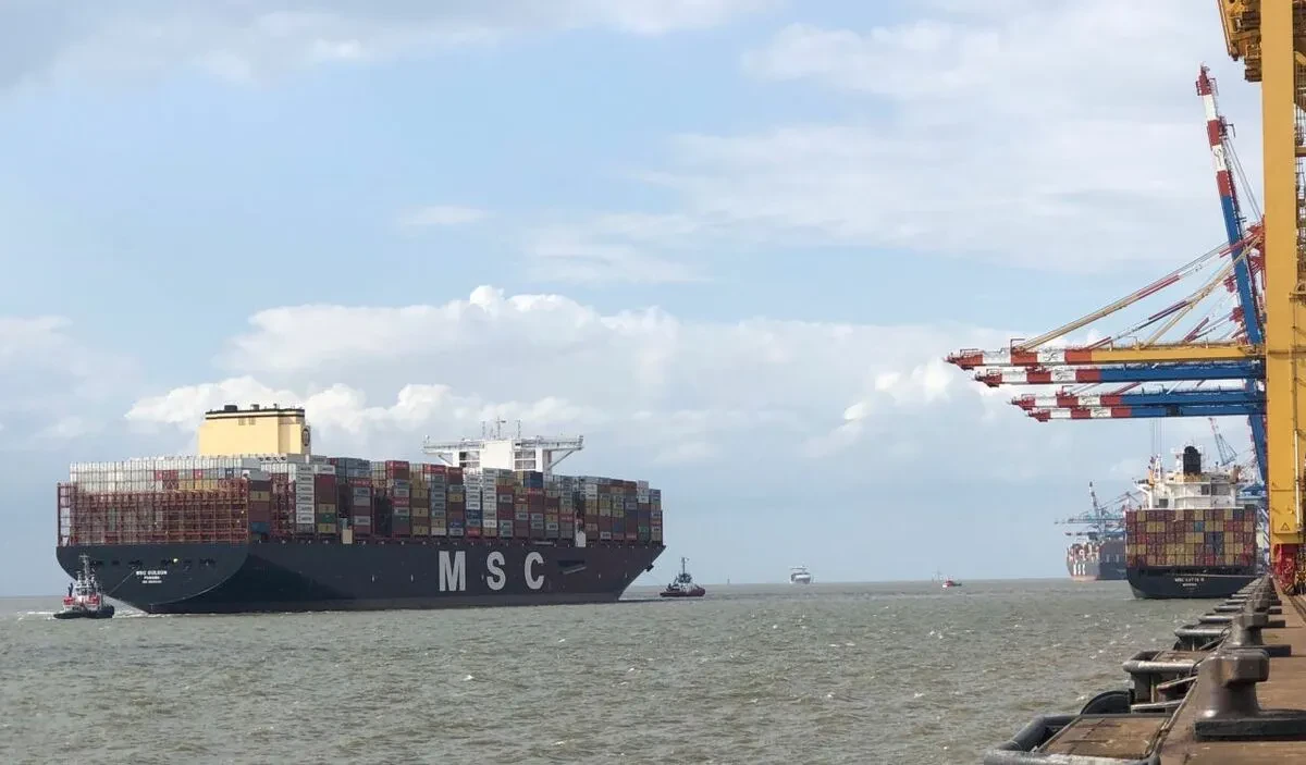 msc_gulsun_web