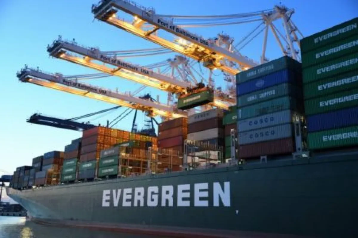 evergreen-1-451x300