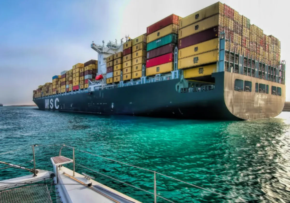msc-1-528x370