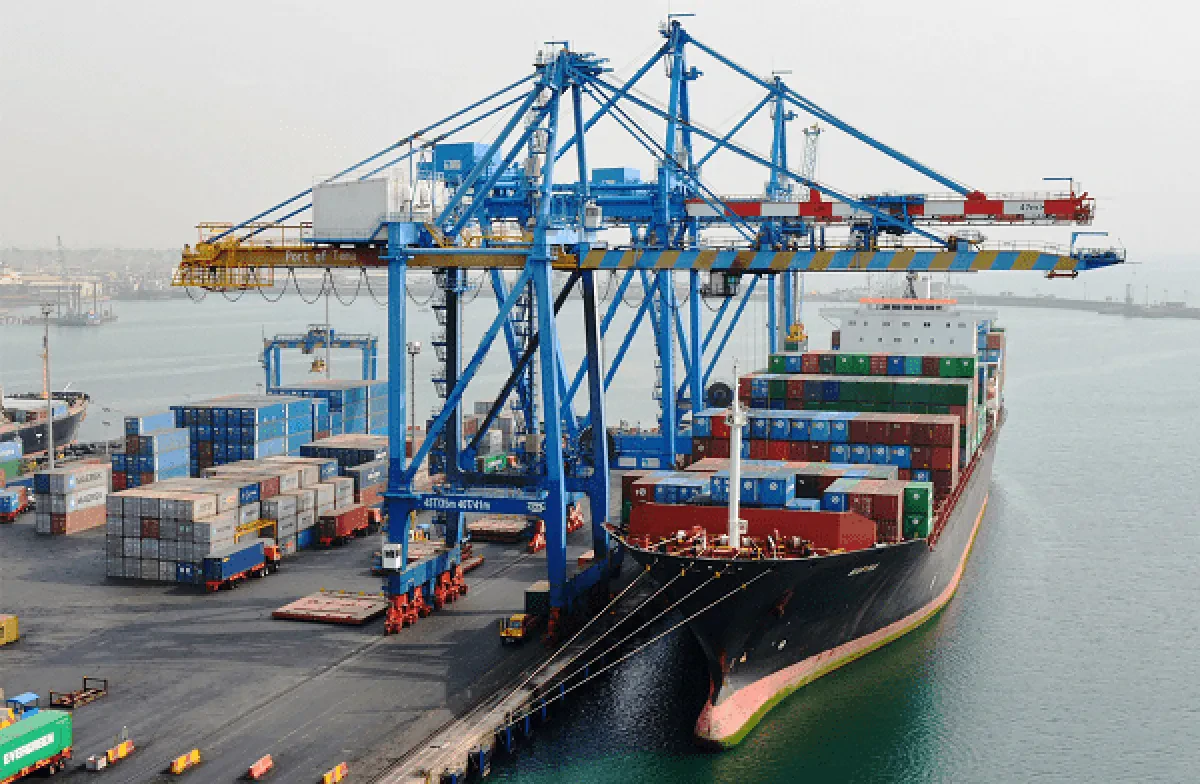 tema_port-min