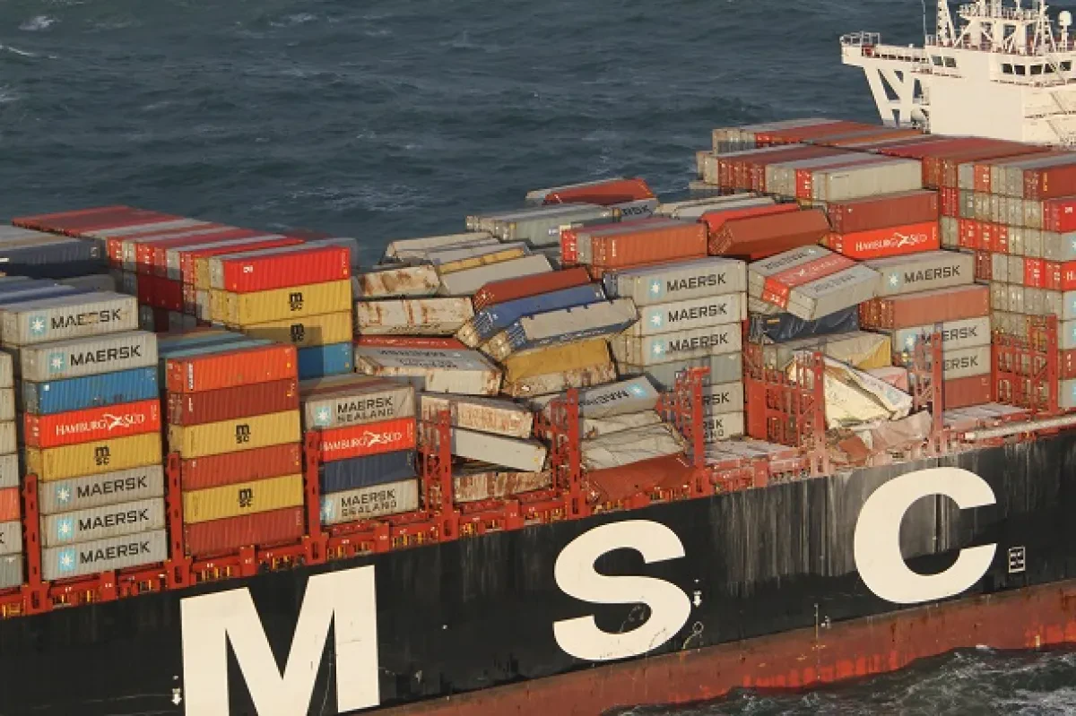 MSC_Zoe_Picture_2