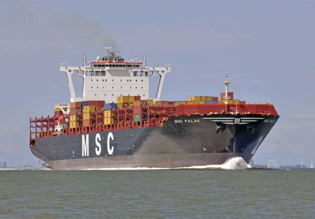 MSC-Palak