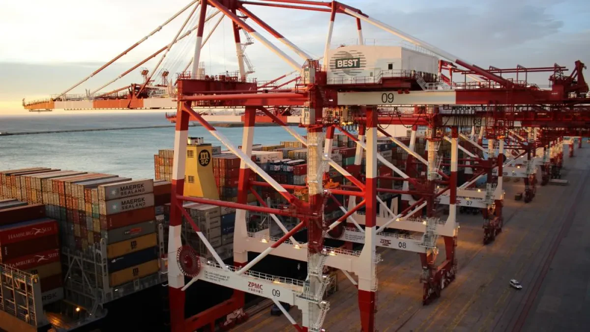 BEST-Cranes_1-1000x563