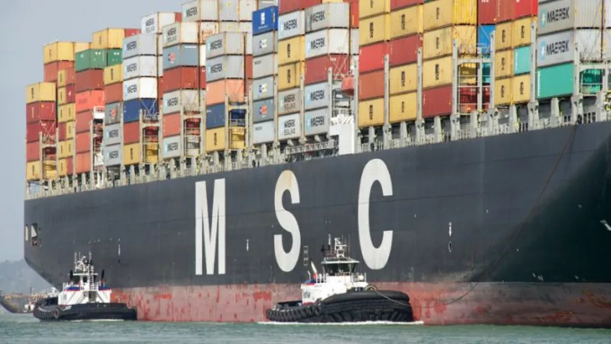 MSC-10