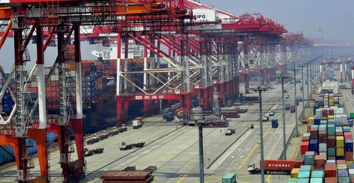 Shanghai port container volume hits record high in October