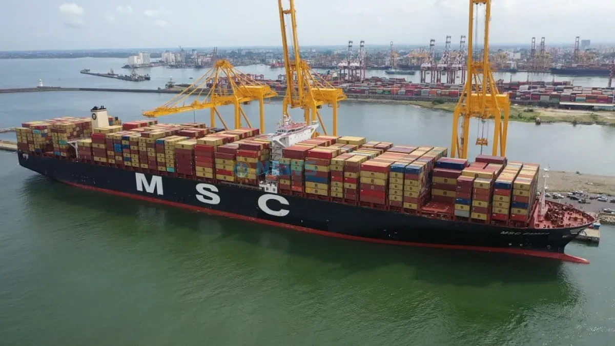 MSC-Emma-ECT