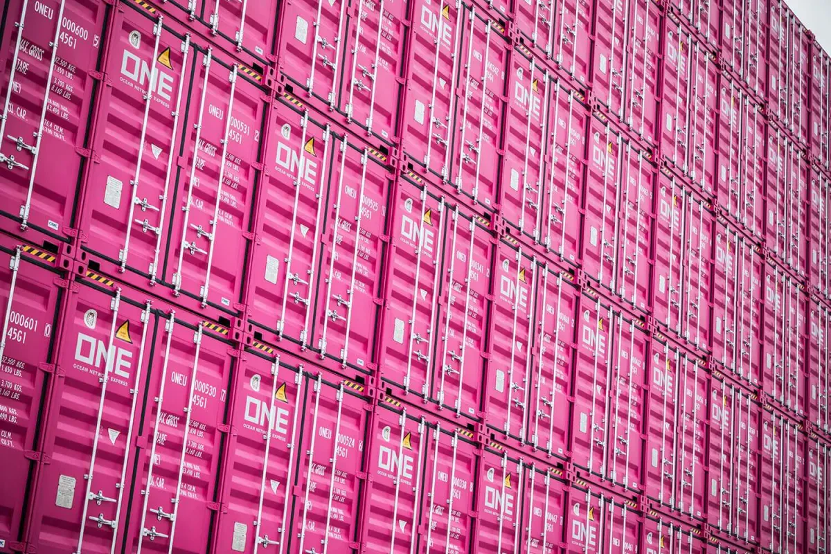 ONE-magenta-boxes