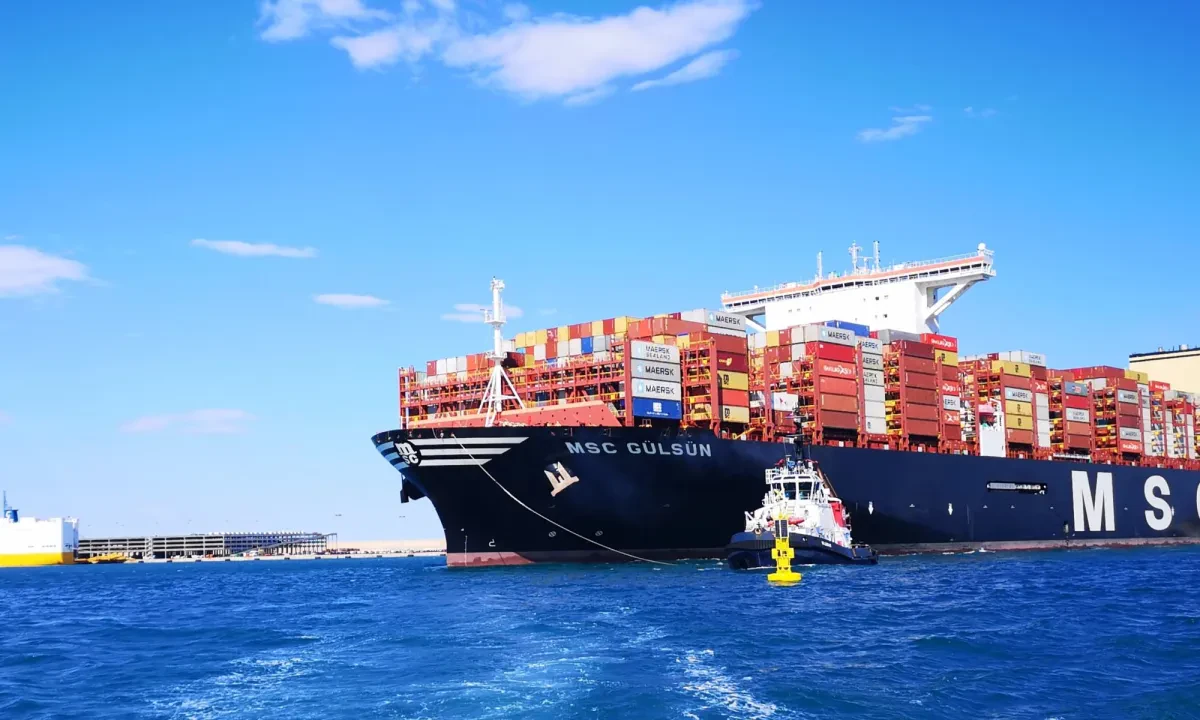 msc-gulsun