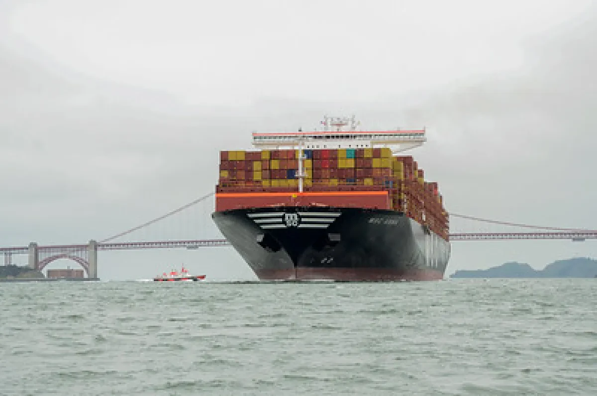 MSC-Anna-6