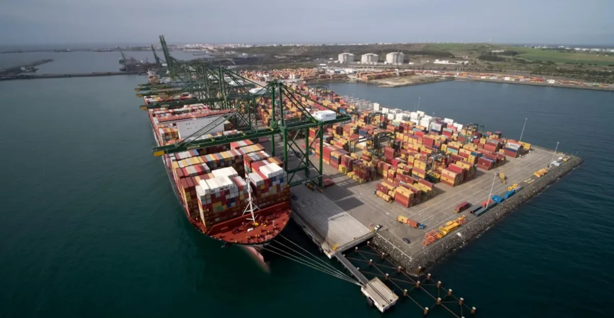 TXXI_SINES-1