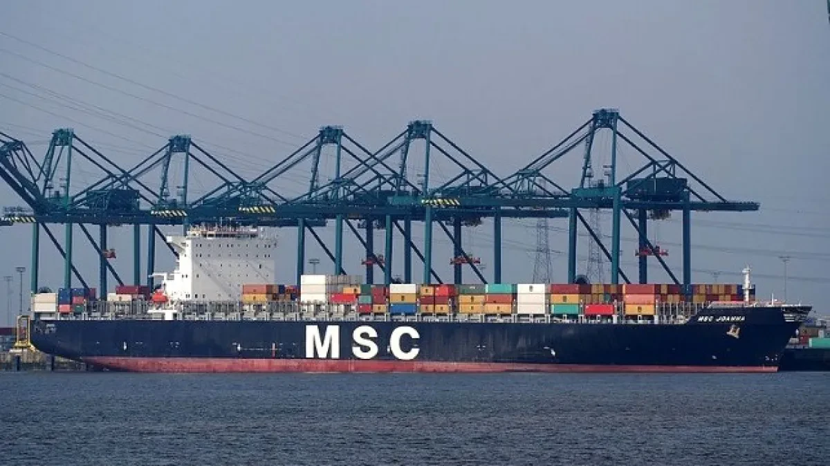 MSC-Joanna-Alf-van-Beem-photo-Wikimedia-public-domain.25c9bc