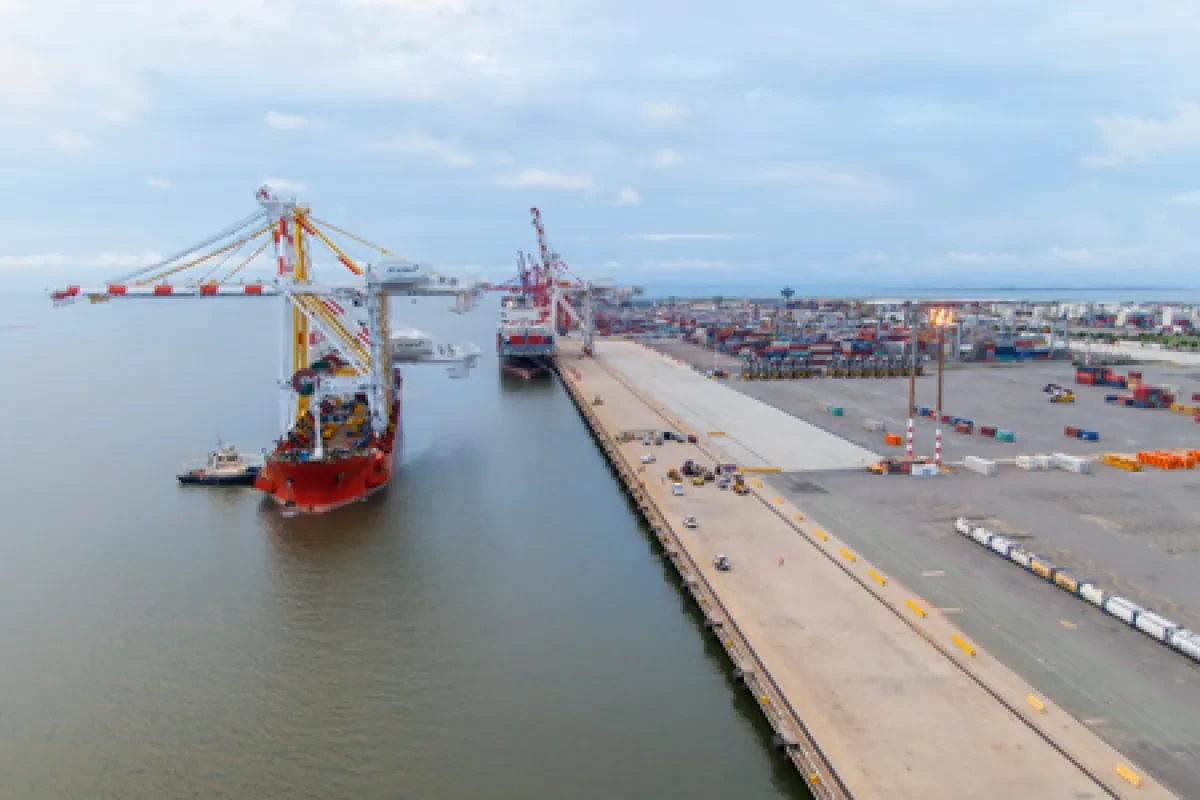 180305_bris-crane-arrival_website