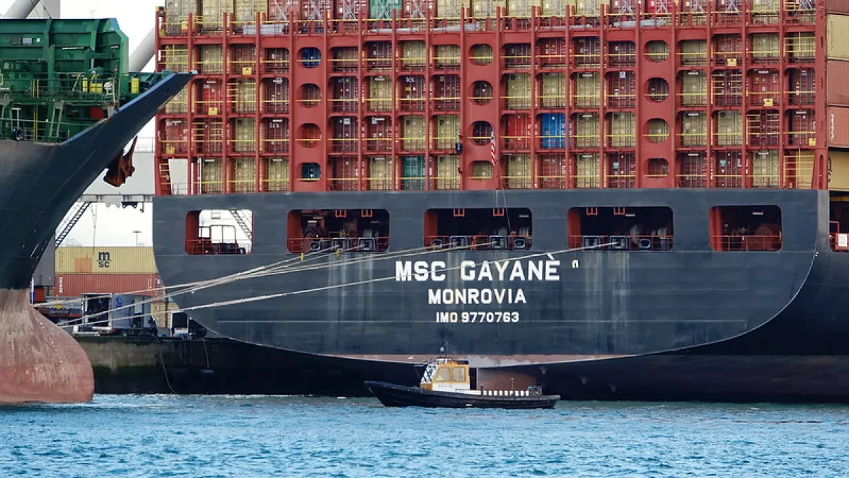 MSC-Gayane