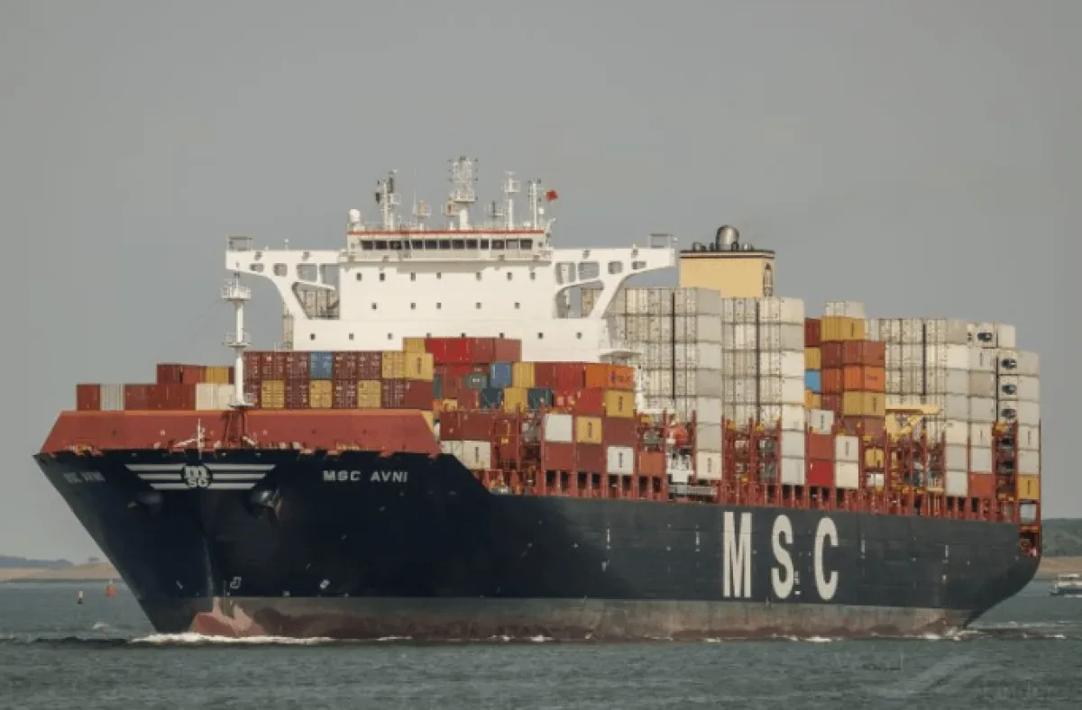MSC-Avni
