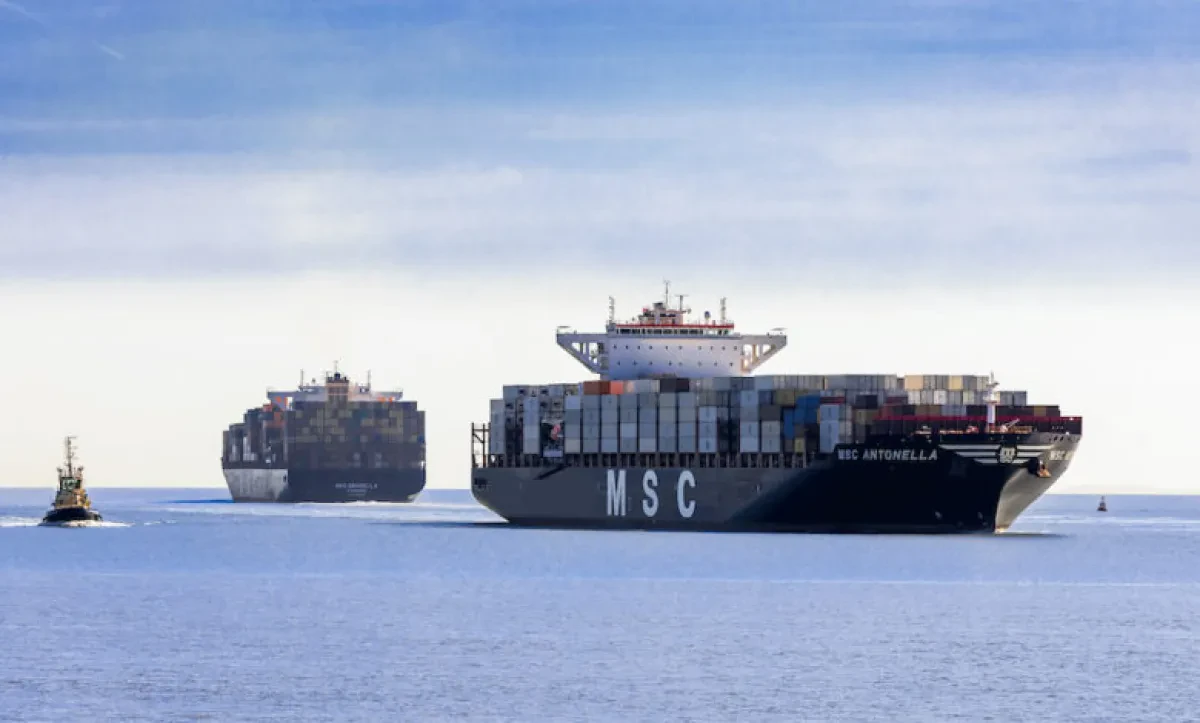 MSC-Antonella-780x470