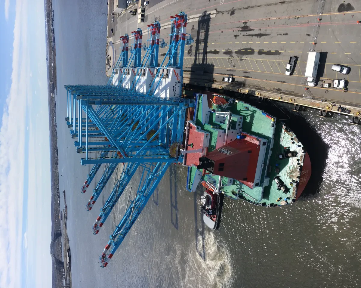 cranes-arrive-new-york-elizabeteh-apmt