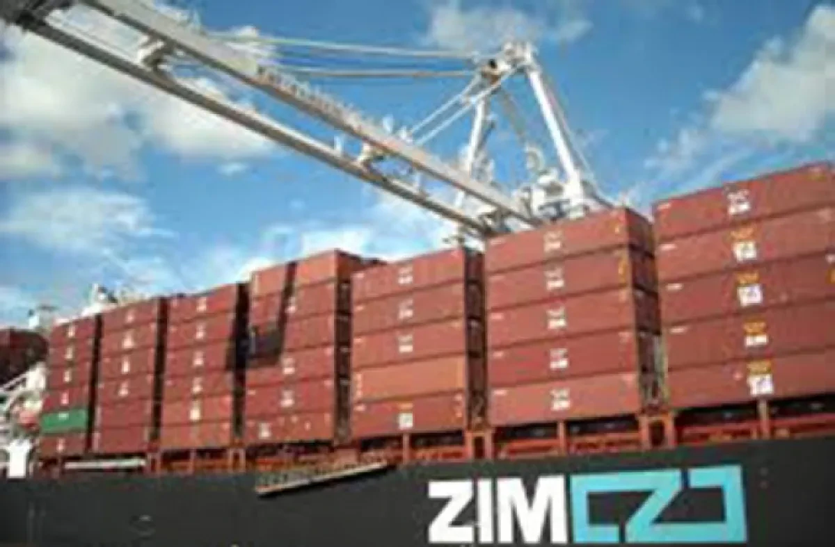 Zim10-680x0-c-default