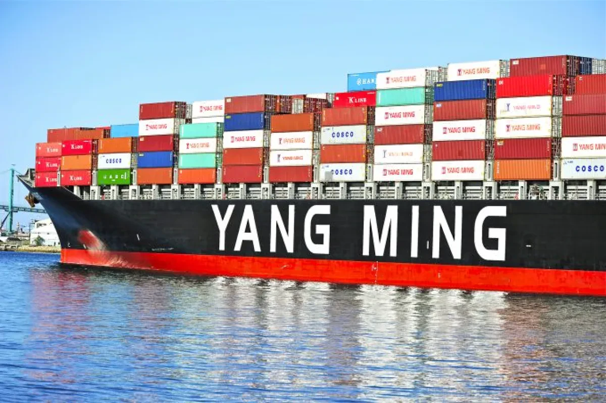 Yang-Ming-8