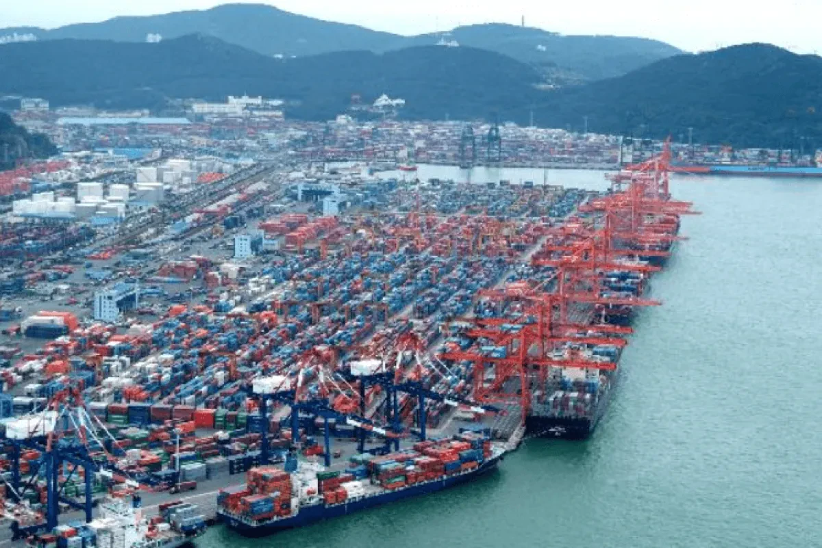 Port congestion balloons box rates on South Korea – Russia trade