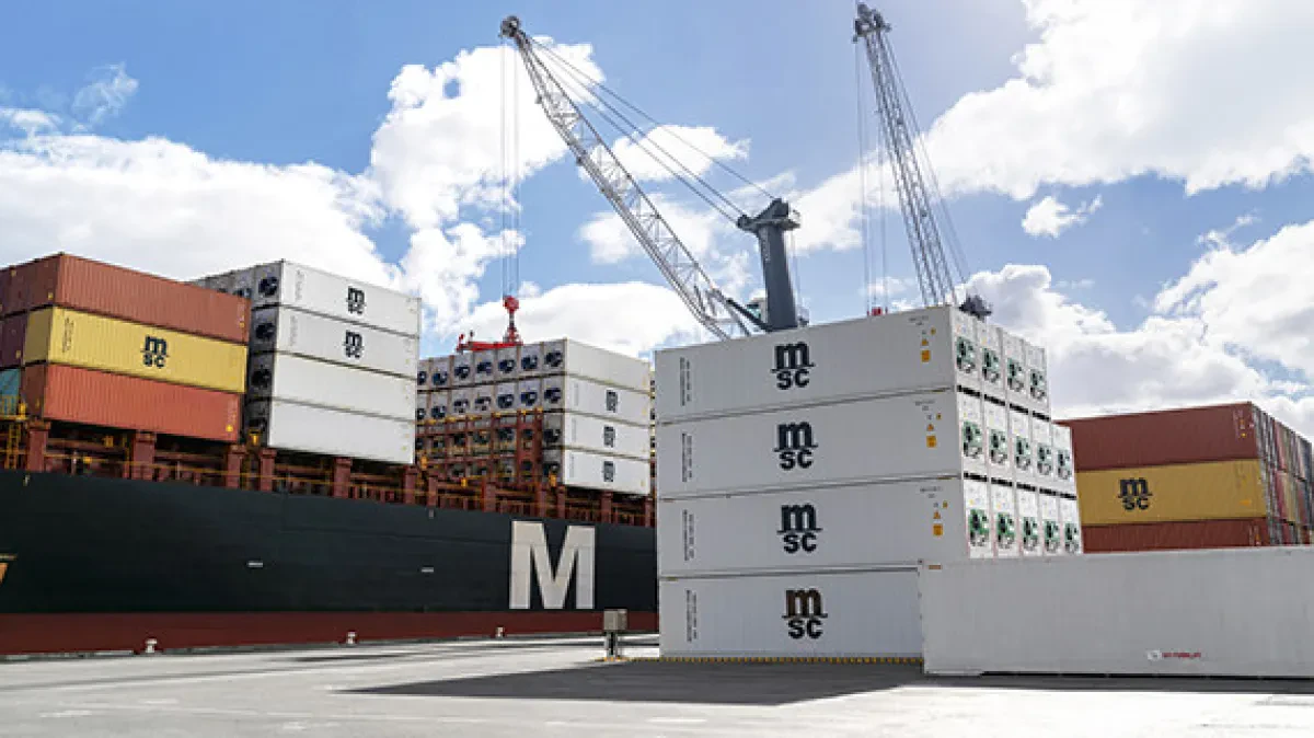 MSC-containers