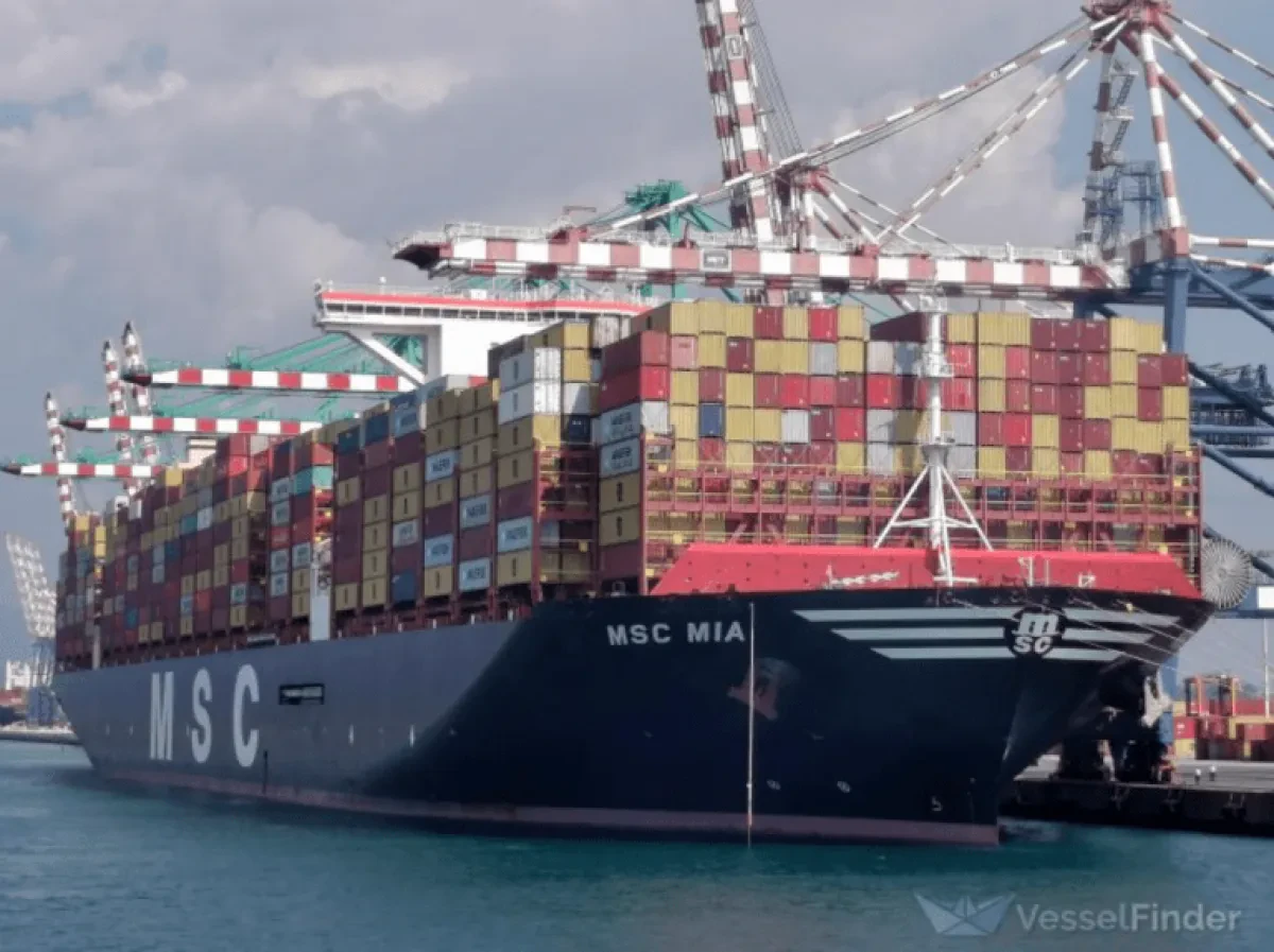 MSC-Mia-768x574