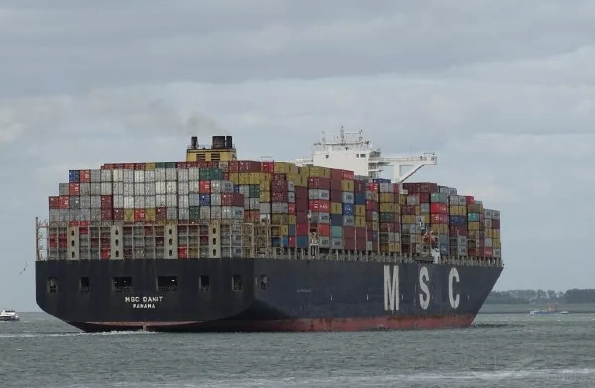 MSC-Danit-e1646132694782